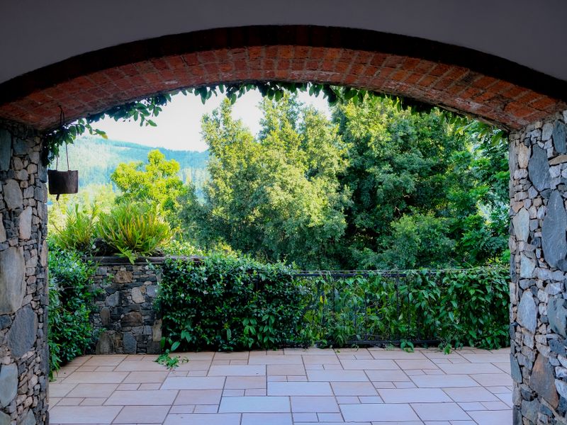After — Natural Sandstone Patio